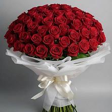 Букет 101 Красная роза Блэк Мэджик в Воскресенское Тульская область